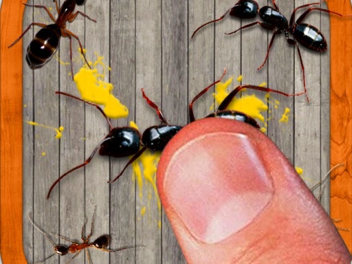 smash the insectt game cover